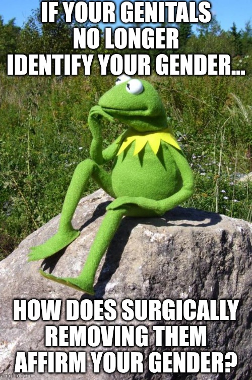 This is some gold medal mental gymnastics, which the Left still has not done successfully | IF YOUR GENITALS NO LONGER IDENTIFY YOUR GENDER... HOW DOES SURGICALLY REMOVING THEM AFFIRM YOUR GENDER? | image tagged in kermit-thinking,gender identity,deep thoughts,liberal logic,liberal hypocrisy,crying democrats | made w/ Imgflip meme maker