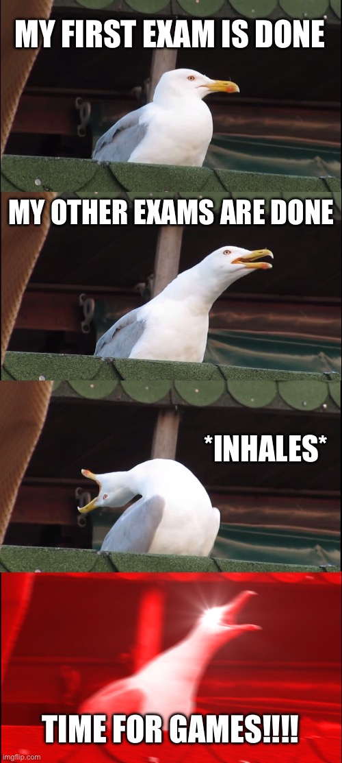 EXAMS FINISHED MOMMENTS | MY FIRST EXAM IS DONE; MY OTHER EXAMS ARE DONE; *INHALES*; TIME FOR GAMES!!!! | image tagged in memes,inhaling seagull | made w/ Imgflip meme maker