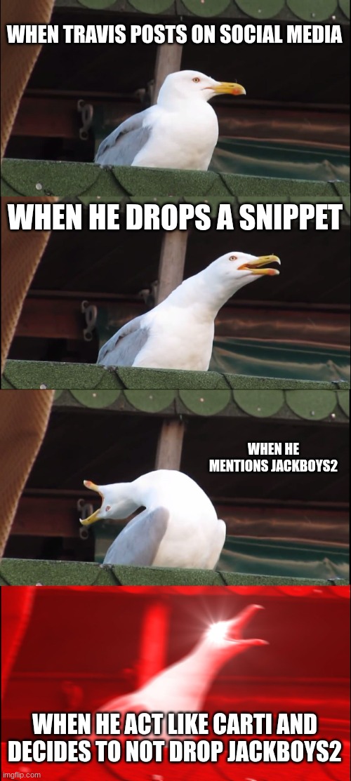JACKBOYS2 right now | WHEN TRAVIS POSTS ON SOCIAL MEDIA; WHEN HE DROPS A SNIPPET; WHEN HE MENTIONS JACKBOYS2; WHEN HE ACT LIKE CARTI AND DECIDES TO NOT DROP JACKBOYS2 | image tagged in memes,inhaling seagull,rap,rapper,funny,travis scott | made w/ Imgflip meme maker