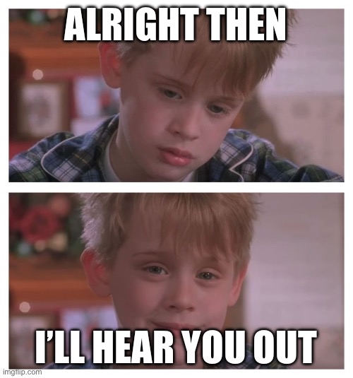 ALRIGHT THEN I’LL HEAR YOU OUT | image tagged in home alone sudden realization | made w/ Imgflip meme maker