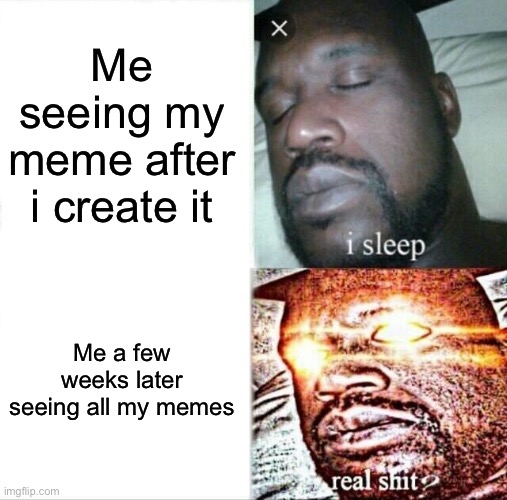 Everyone | Me seeing my meme after i create it; Me a few weeks later seeing all my memes | image tagged in memes,sleeping shaq | made w/ Imgflip meme maker