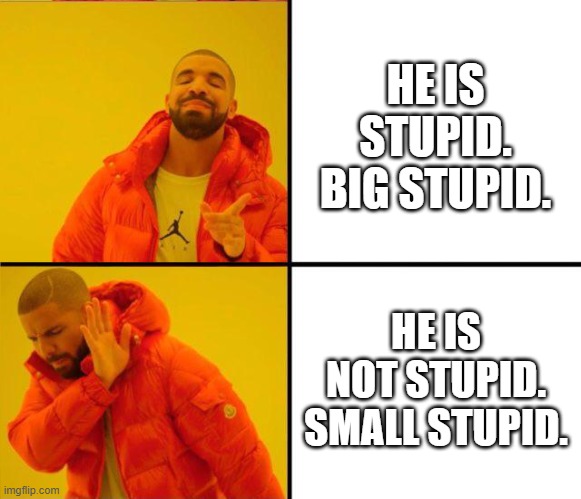 drake stupid | HE IS STUPID. BIG STUPID. HE IS NOT STUPID. SMALL STUPID. | image tagged in drake yes no reverse,drake hotline bling | made w/ Imgflip meme maker