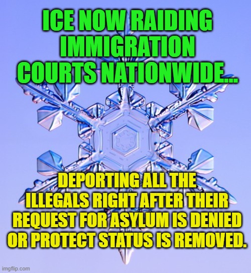 Special snowflake | ICE NOW RAIDING IMMIGRATION COURTS NATIONWIDE... DEPORTING ALL THE ILLEGALS RIGHT AFTER THEIR REQUEST FOR ASYLUM IS DENIED OR PROTECT STATUS IS REMOVED. | image tagged in special snowflake | made w/ Imgflip meme maker