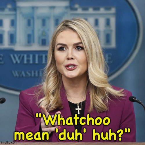 Karoline Leavitt | "Whatchoo mean 'duh' huh?" | image tagged in karoline leavitt | made w/ Imgflip meme maker