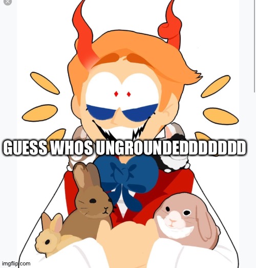 MEEEE | GUESS WHOS UNGROUNDEDDDDDDD | image tagged in pockett | made w/ Imgflip meme maker