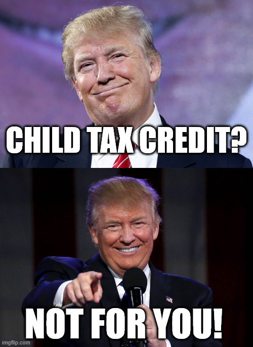 Child over the age of 7?  I think you mean a lazy bum who needs to get a job. | CHILD TAX CREDIT? NOT FOR YOU! | image tagged in donald trump smirk,trump laughing at haters | made w/ Imgflip meme maker