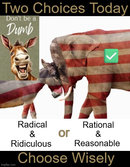 Reality of the Right | Two Choices Today; ✅; Rational & Reasonable; Radical & Ridiculous; or; Choose Wisely | image tagged in we the people,america,good vs evil,right vs wrong,liberals vs conservatives,political humor | made w/ Imgflip meme maker