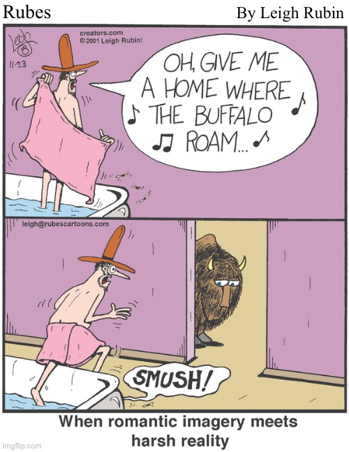 Rubes; By Leigh Rubin | image tagged in comics,rubes,cowboy,buffalo,stepped in it | made w/ Imgflip meme maker