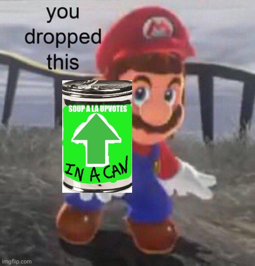 Mario You dropped this | image tagged in mario you dropped this | made w/ Imgflip meme maker
