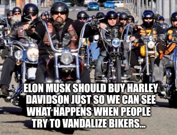 Random Thought... | ELON MUSK SHOULD BUY HARLEY DAVIDSON JUST SO WE CAN SEE; WHAT HAPPENS WHEN PEOPLE TRY TO VANDALIZE BIKERS... | image tagged in harley davidson | made w/ Imgflip meme maker