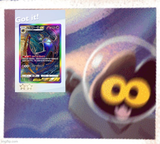 Wonder picked a Japanese rainbow!!?!?! | image tagged in momo the cat pog,pokemon,luck,skill | made w/ Imgflip meme maker