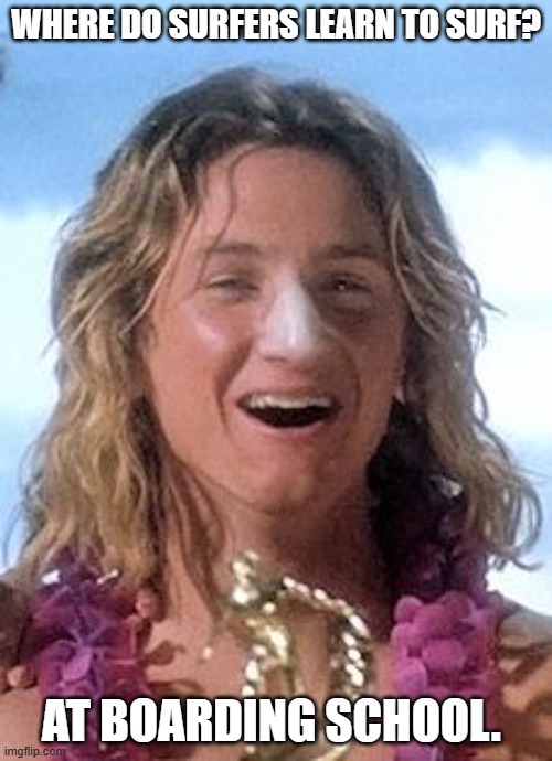 Daily Bad Dad Joke May 23, 2025 | WHERE DO SURFERS LEARN TO SURF? AT BOARDING SCHOOL. | image tagged in dumb surfer | made w/ Imgflip meme maker