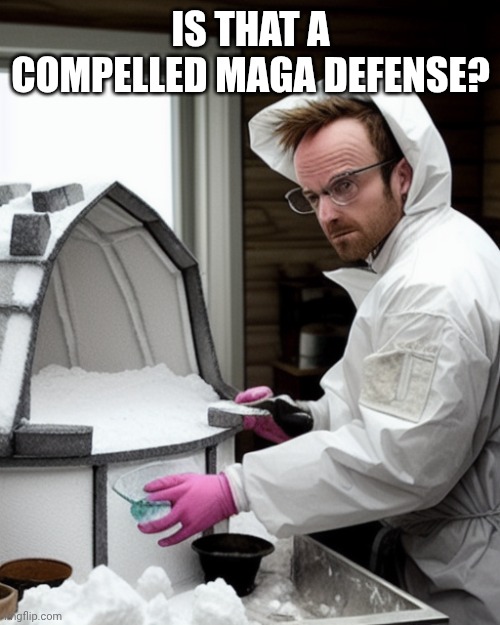 Snowcones | IS THAT A COMPELLED MAGA DEFENSE? | image tagged in snowcones | made w/ Imgflip meme maker