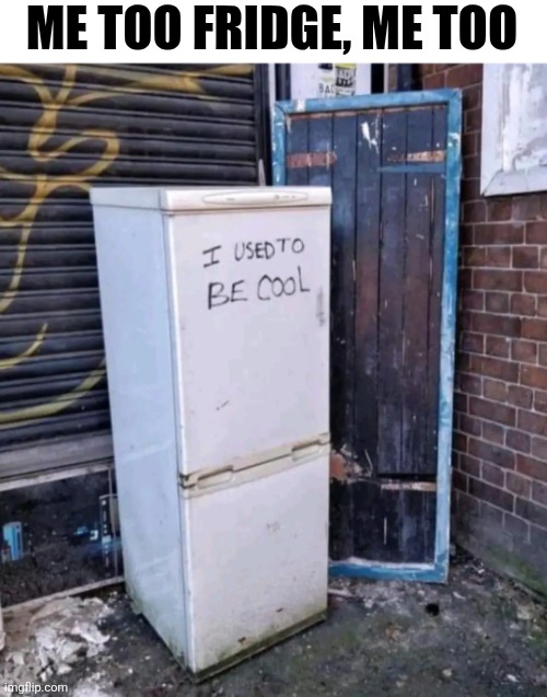 Me Too Fridge, Me Too | ME TOO FRIDGE, ME TOO | image tagged in chrisjoines1 | made w/ Imgflip meme maker