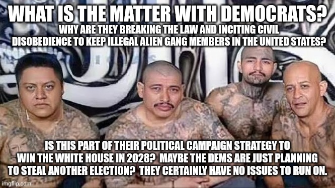 Oh I understand now.  The Democrat Party is the head of these gangs.  They're looking out for their underlings. | WHAT IS THE MATTER WITH DEMOCRATS? WHY ARE THEY BREAKING THE LAW AND INCITING CIVIL DISOBEDIENCE TO KEEP ILLEGAL ALIEN GANG MEMBERS IN THE UNITED STATES? IS THIS PART OF THEIR POLITICAL CAMPAIGN STRATEGY TO WIN THE WHITE HOUSE IN 2028?  MAYBE THE DEMS ARE JUST PLANNING TO STEAL ANOTHER ELECTION?  THEY CERTAINLY HAVE NO ISSUES TO RUN ON. | image tagged in tren de aragua,ms13,illegal aliens,violent criminals | made w/ Imgflip meme maker