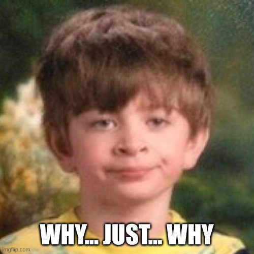 Annoyed face | WHY... JUST... WHY | image tagged in annoyed face | made w/ Imgflip meme maker