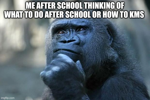 Deep Thoughts | ME AFTER SCHOOL THINKING OF WHAT TO DO AFTER SCHOOL OR HOW TO KMS | image tagged in deep thoughts | made w/ Imgflip meme maker