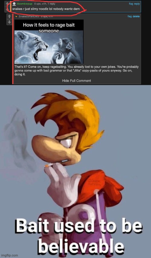Look at this ragebaiter. Somebody come report him. Btw his user is lilzombiepup. | image tagged in bait used to be believable,rayman,look at this dude,what the fu-,memes | made w/ Imgflip meme maker