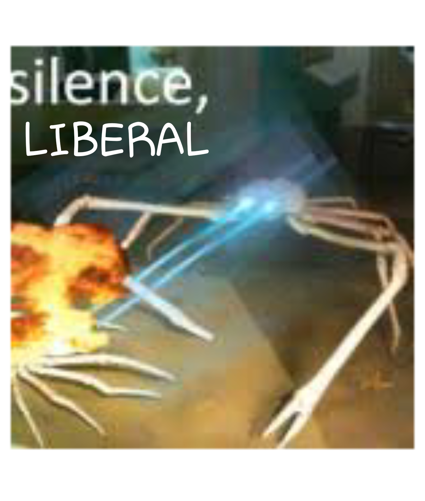 his lol where gonna crab... be silence (SILENCE MEME) Blank Meme Template