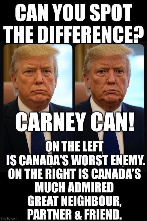 ??CanadaRising?? | CAN YOU SPOT THE DIFFERENCE? CARNEY CAN! ON THE LEFT 
IS CANADA’S WORST ENEMY.
ON THE RIGHT IS CANADA’S 
MUCH ADMIRED 
GREAT NEIGHBOUR, 
PARTNER & FRIEND. | image tagged in canadian politics | made w/ Imgflip meme maker