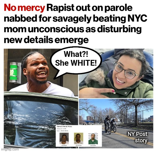 Not a bug in identity politics, but a feature | What?!
She WHITE! NY Post
story | image tagged in memes,democrats,hatred,racism,crime,criminals | made w/ Imgflip meme maker