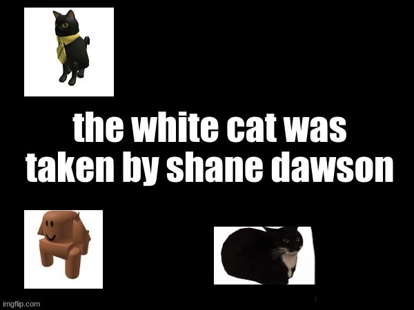 k1 | the white cat was taken by shane dawson | made w/ Imgflip meme maker