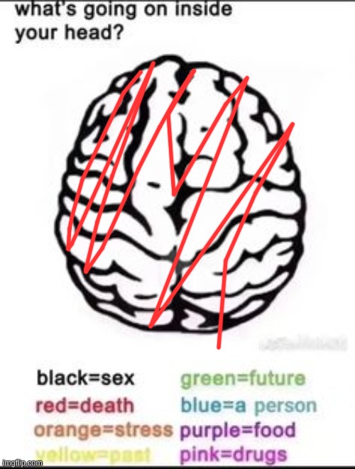 What's going on inside your head? | image tagged in what's going on inside your head | made w/ Imgflip meme maker