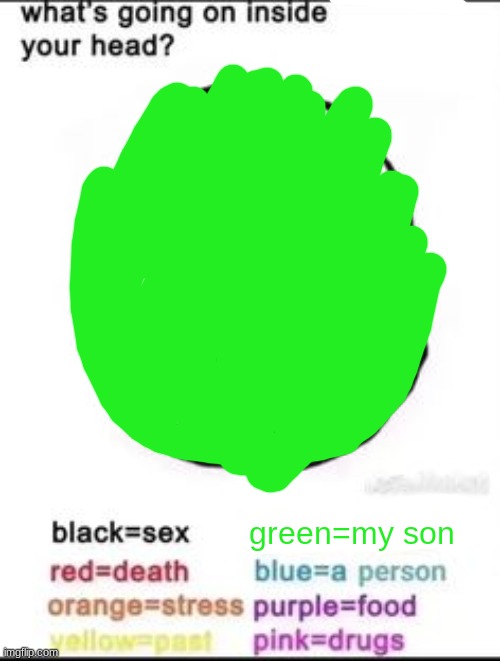 What's going on inside your head? | green=my son | image tagged in what's going on inside your head | made w/ Imgflip meme maker