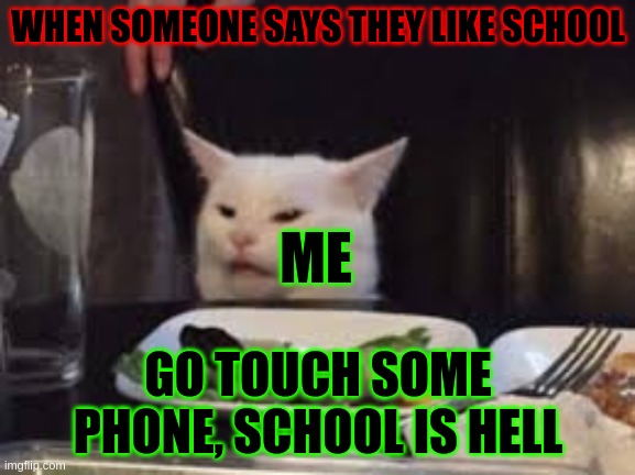 me when someone says they like school | WHEN SOMEONE SAYS THEY LIKE SCHOOL; ME; GO TOUCH SOME PHONE, SCHOOL IS HELL | image tagged in fun,funny meme,cat | made w/ Imgflip meme maker