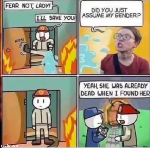 The firemen are the real heroes! | image tagged in memes,funny,karen,fireman,gender assumption | made w/ Imgflip meme maker