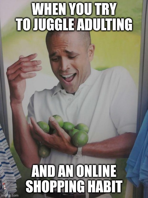 Why Can't I Hold All These Limes | WHEN YOU TRY TO JUGGLE ADULTING; AND AN ONLINE SHOPPING HABIT | image tagged in memes,why can't i hold all these limes | made w/ Imgflip meme maker