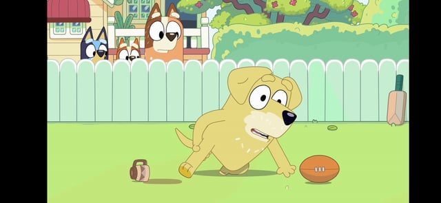 Bluey Lucky's dad done my hammy Blank Meme Template