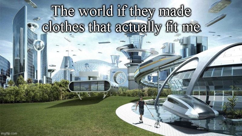 I'm just looking for a camouflage zip up hoodie and Amazon ain't got shit. | The world if they made clothes that actually fit me | image tagged in the future world if | made w/ Imgflip meme maker