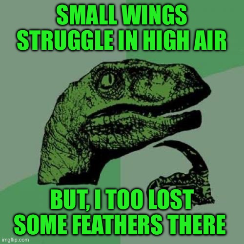 Philosoraptor | SMALL WINGS STRUGGLE IN HIGH AIR; BUT, I TOO LOST SOME FEATHERS THERE | image tagged in memes,philosoraptor | made w/ Imgflip meme maker