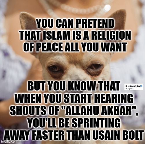 No one virtue signals during a terrorist attack | YOU CAN PRETEND THAT ISLAM IS A RELIGION OF PEACE ALL YOU WANT; BUT YOU KNOW THAT WHEN YOU START HEARING SHOUTS OF "ALLAHU AKBAR", YOU'LL BE SPRINTING AWAY FASTER THAN USAIN BOLT | image tagged in islam,terrorism,islamic terrorism | made w/ Imgflip meme maker