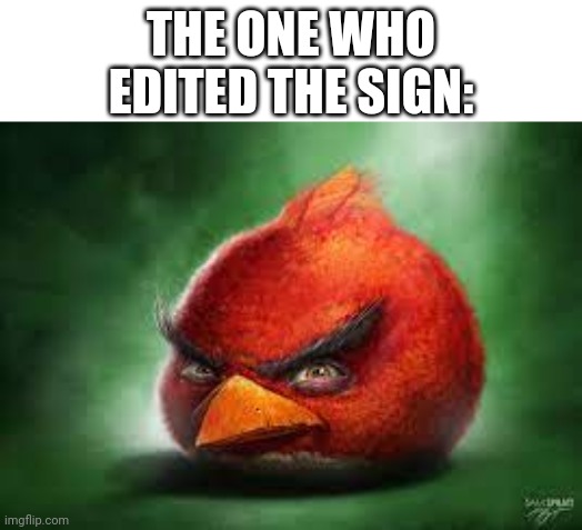 THE ONE WHO EDITED THE SIGN: | image tagged in realistic red angry birds | made w/ Imgflip meme maker