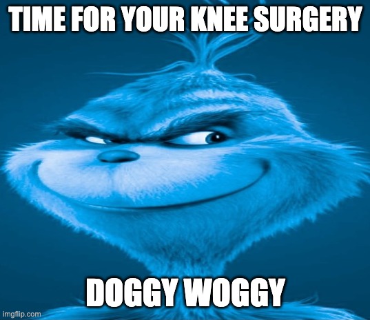 Blue Grinch | TIME FOR YOUR KNEE SURGERY DOGGY WOGGY | image tagged in blue grinch | made w/ Imgflip meme maker