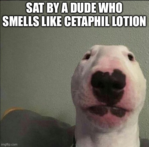 I know what you are | SAT BY A DUDE WHO SMELLS LIKE CETAPHIL LOTION | image tagged in staring forward dog | made w/ Imgflip meme maker