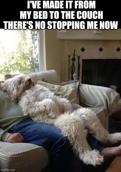 I've Made It From My Bed To The Couch There's No Stopping Me Now | I'VE MADE IT FROM MY BED TO THE COUCH THERE'S NO STOPPING ME NOW | image tagged in chrisjoines1 | made w/ Imgflip meme maker