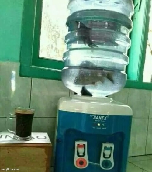 FISH IN DA TANK | made w/ Imgflip meme maker