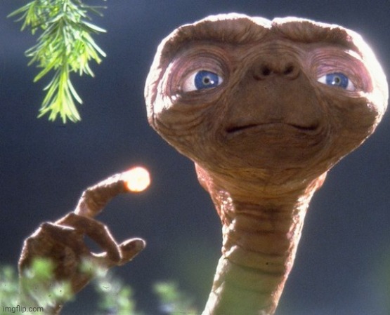 E.T. the Extra-Terrestrial | image tagged in e t the extra-terrestrial | made w/ Imgflip meme maker