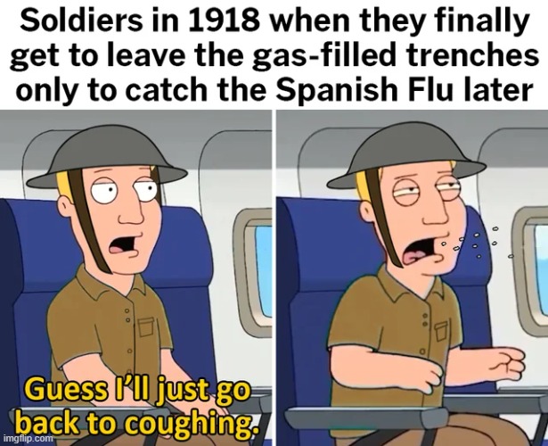 From Gas to Flu | image tagged in wwi,history | made w/ Imgflip meme maker