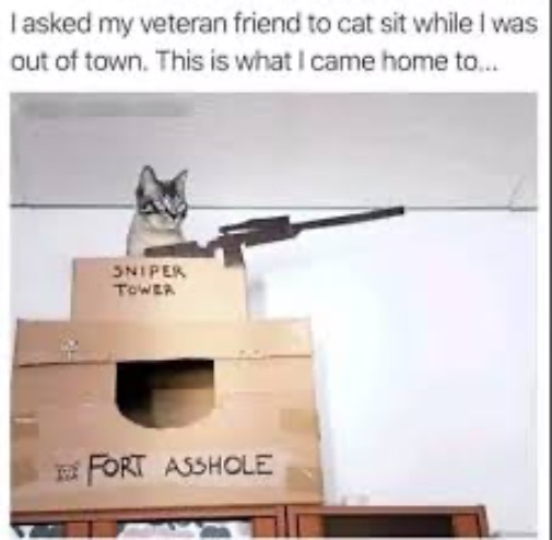 Military Kitteh | image tagged in cats,funny cats,military humor,sniper cat,fort asshole,scumbag | made w/ Imgflip meme maker