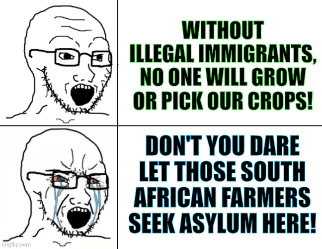 replacement theory | WITHOUT ILLEGAL IMMIGRANTS, NO ONE WILL GROW OR PICK OUR CROPS! DON'T YOU DARE LET THOSE SOUTH AFRICAN FARMERS SEEK ASYLUM HERE! | image tagged in soyboy reaction mad cry,stupid liberals | made w/ Imgflip meme maker