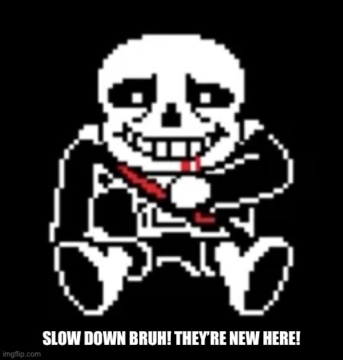 SLOW DOWN BRUH! THEY’RE NEW HERE! | made w/ Imgflip meme maker