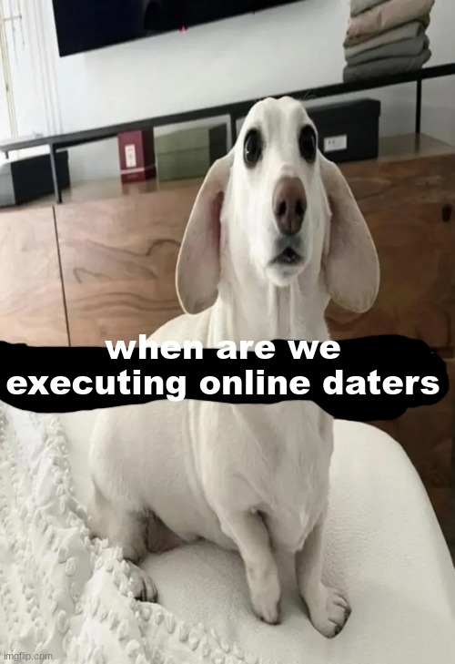 Just saw something lgbt | when are we executing online daters | image tagged in just saw something lgbt | made w/ Imgflip meme maker