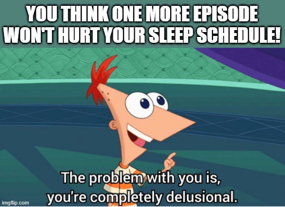 The Problem with you is, you're completely delusional | YOU THINK ONE MORE EPISODE WON'T HURT YOUR SLEEP SCHEDULE! | image tagged in the problem with you is you're completely delusional | made w/ Imgflip meme maker