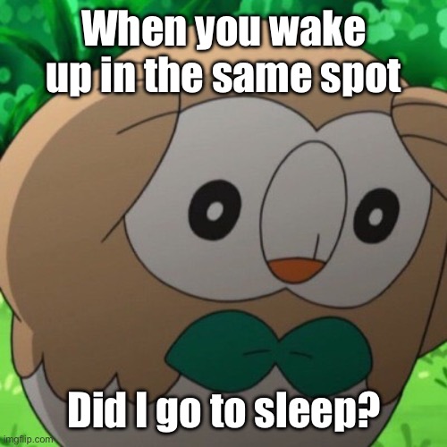 This happened to me once | When you wake up in the same spot; Did I go to sleep? | image tagged in rowlet meme template | made w/ Imgflip meme maker