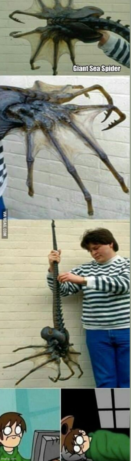 rate how scary the bug is 1-10 | image tagged in sea spider,spider,sea,scary,funny,ocean | made w/ Imgflip meme maker