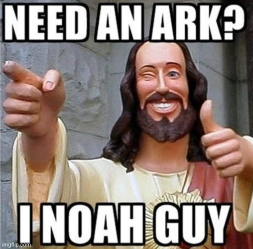 hahaha get it cuz Noah *cries* | image tagged in bible,christianity,ark,flood,jesus,noah | made w/ Imgflip meme maker